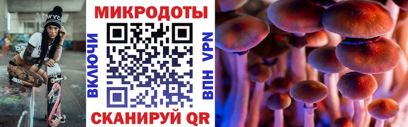 Псилоцибиновые грибы мухоморы  darknet Telegram  Медногорск 
